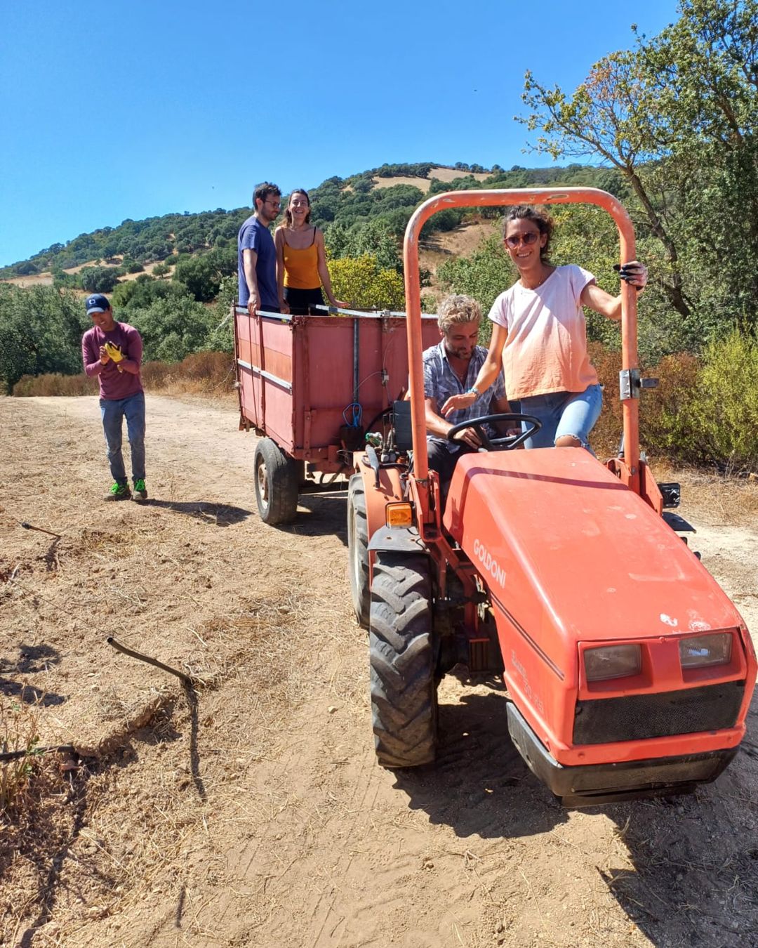 Persone sul trattore rosso e sul rimorchio, lungo la strada sterrata della tenuta